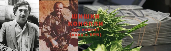 тгк Богородицк