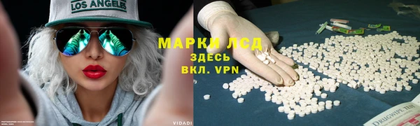 таблы Богданович