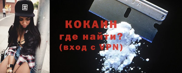 спиды Бородино